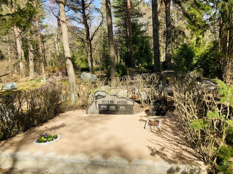 galerii_enne_ja_parast_8