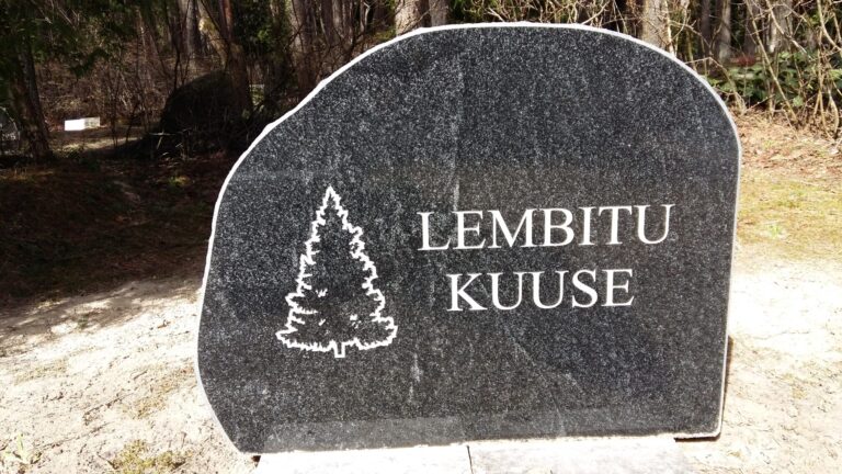 galerii_hauakivid_ja_hauaplaadid_81