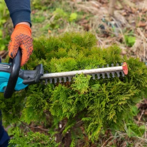 3- kohalise hauaplatsi hooajaline hooldus (7 korda)